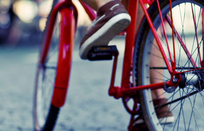 Bike Rental in Salta - Photo 2