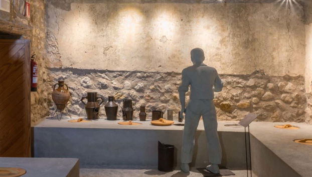 Aprendendo tudo sobre o azeite de oliva