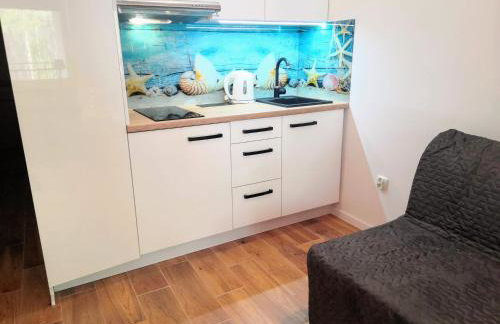 Blue Mare Apartamenty U Tomka - Foto 44
