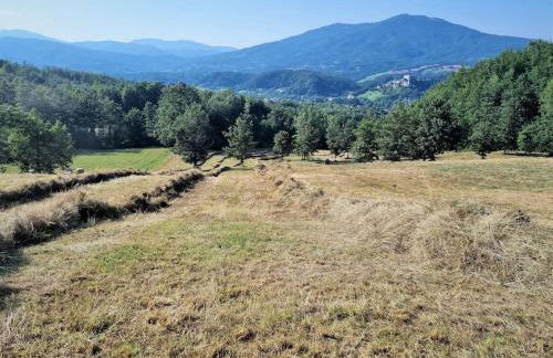 Oasi di pace nella Val di Taro - Photo 6