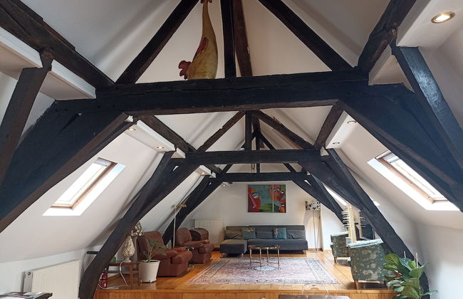 Large Charming Duplex Brussels Historical Center - Foto 11