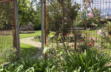 El Secanet - Foto 20