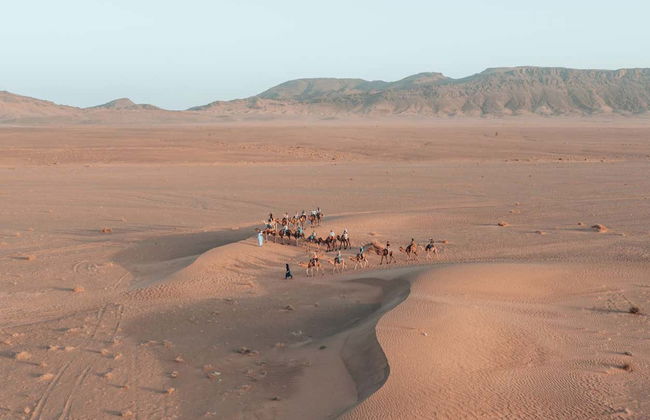 Camel Ride and Night in the Desert - Photo 3