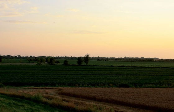 Agriturismo Cà Pisani - Foto 10