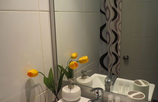 Personal Aparts Bellas Artes - Foto 22