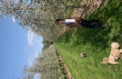 Hop Pickers Cottage - Foto 37