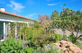 Coja Mountain Perch - Foto 38