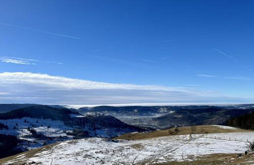 Chalet du Grand Arbre - Foto 48