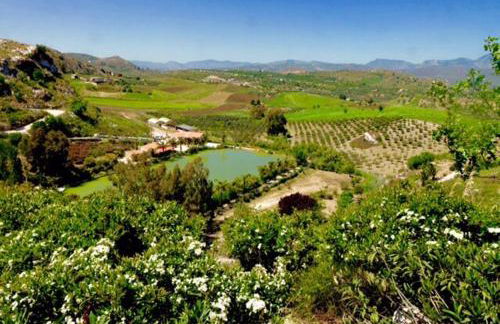 Ciuci's Manor - Foto 24