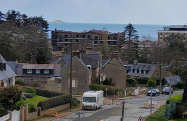 Les goélands - Foto 2