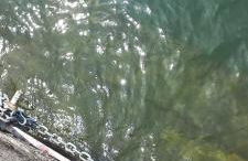 "LAGO VERDE" Como garage privato - Foto 23