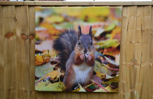 Queen Bower Farm Lodge - Foto 21