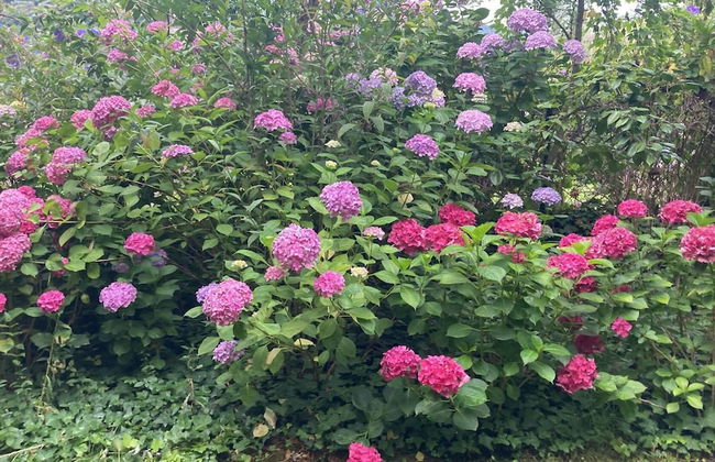 Impeccable 5 Bed House in Santa Cruz do Douro - Foto 34