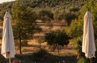 Monte da Estrela - Country House & SPA - Foto 20