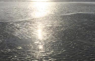 Ferienwohnanlage Sturmhöhe - Foto 24