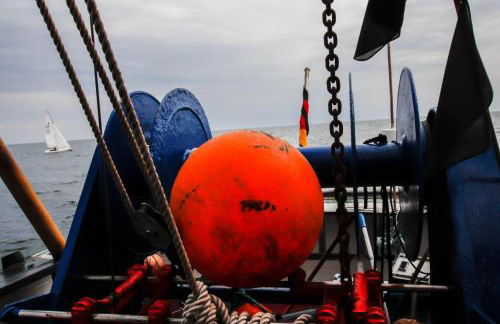 Ferienwohnungen Neue Tiefe - Wohnung Kleiderbügel - Foto 21