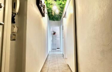 Jungle In The City ,Corfu - Kanoni - Foto 11