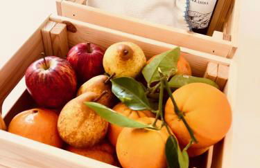 Casas das Piçarras - Alentejo - Foto 13