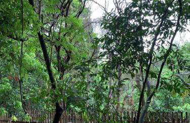 Park Veredas - Rio Quente - Foto 69