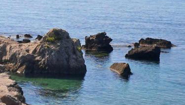 The Flower Garden - Foto 5