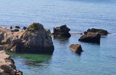 The Flower Garden - Foto 5