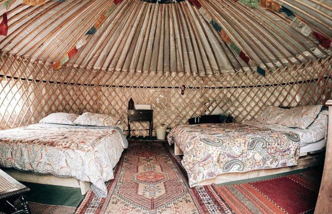 Hapus Yurt - Two Beautiful Yurts and Barn Cottage - Foto 4