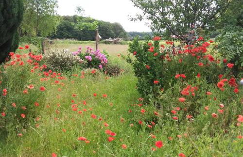 Apartment Schmetterling by Interhome - Foto 25