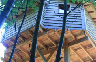 Ô bois dormant - Foto 73