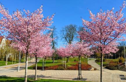 Gäste- und Ferienwohnung Gläser Zwickau - Foto 45