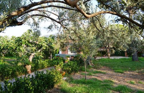 Il Giardino sul Mare - Foto 38