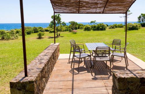 Domaine de Pianiccia - Foto 29