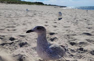 Domki BobolinLove w Bobolinie - Foto 51