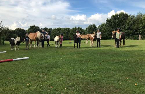 Romantische Ferienwohnung zwischen Schlei und Ostsee - Foto 17