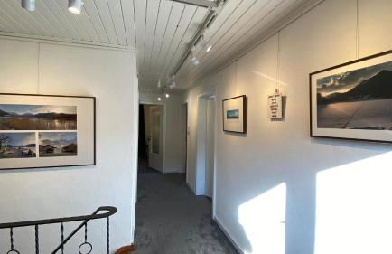 Pure Nature Munich - Alps - Foto 31