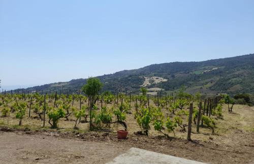 Villa Paradiso - Photo 19