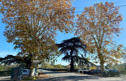 Le pont Saint Roch Logement lumineux avec garage - Foto 12