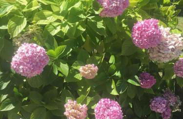 Piso de Lujo en Salinas - Foto 26