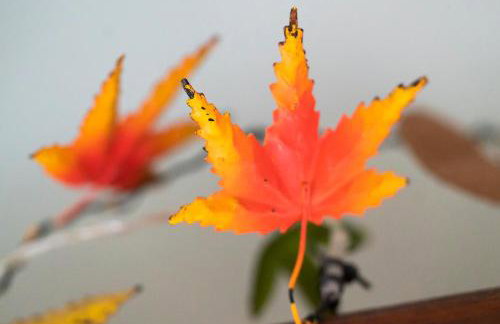 Low Tarn Lodge - Foto 10