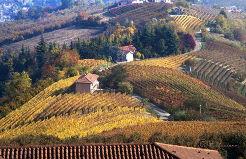 Casa Badinot - Foto 40