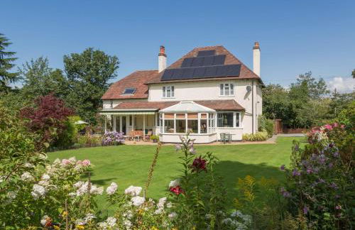 The Big Dingle - Foto 26