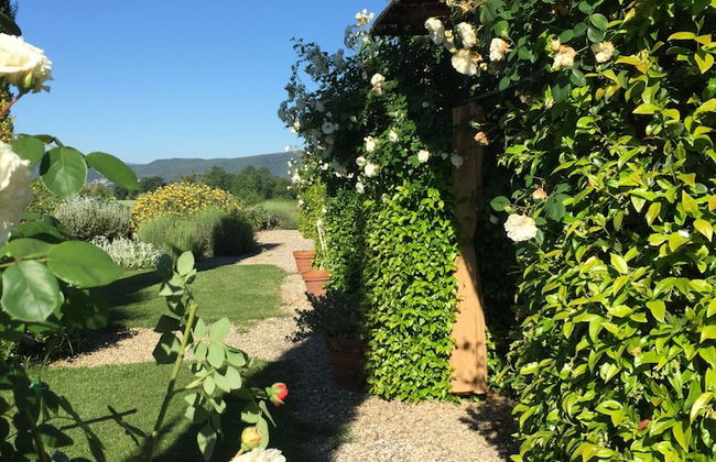 Rinidia Bio - Foto 67