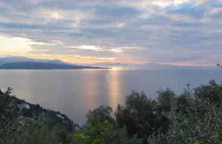 Rizes Sea View - Photo 13