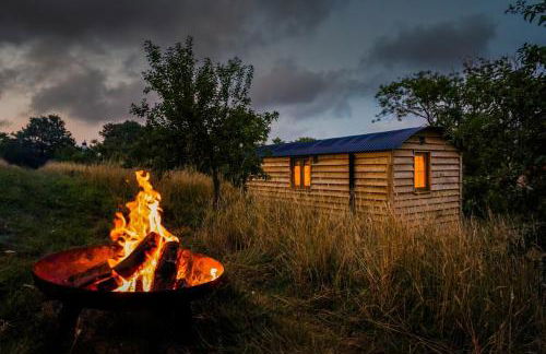 Woodpecker Hill - Apple Orchard in Alfriston - Foto 10