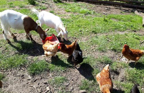 Ferienwohnung Ankerplatz - Photo 12