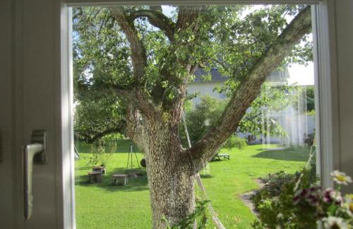 Apartment Am Apfelbaum - Foto 10