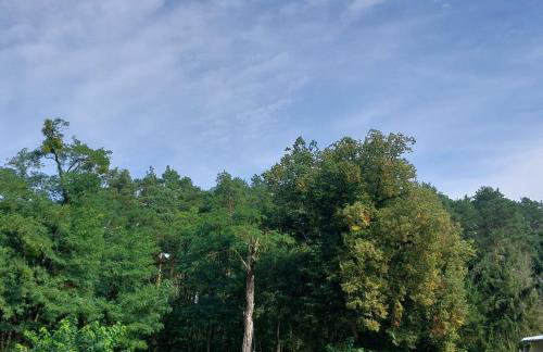 Domek nad Wartą - Foto 32