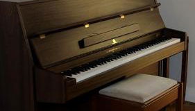 Glenisle Cottage - Photo 3