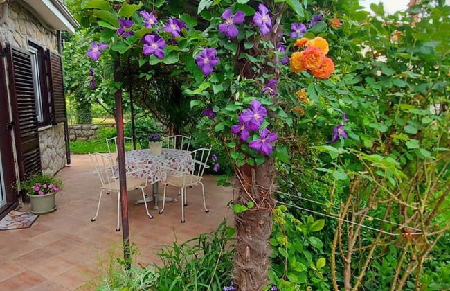 Green Garden Oasis - Photo 34