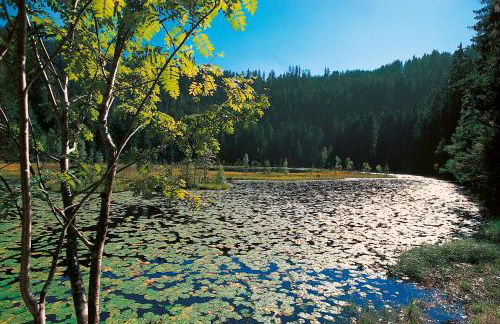 Landhaus Sackmann - Foto 31
