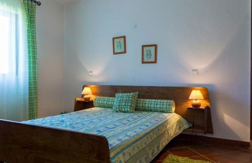 Akisol Alvor Star - Photo 5